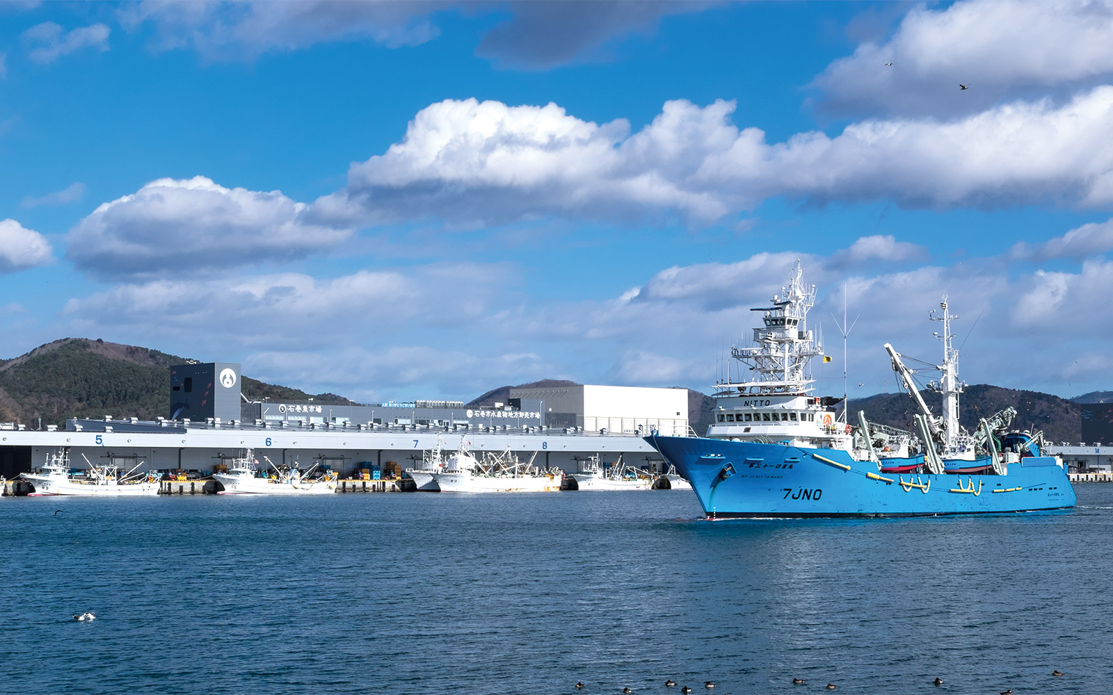 Ishinomaki Fish Market